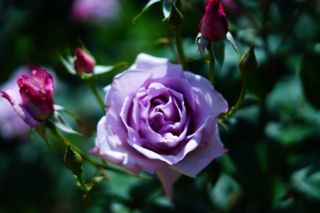 イベント写真01