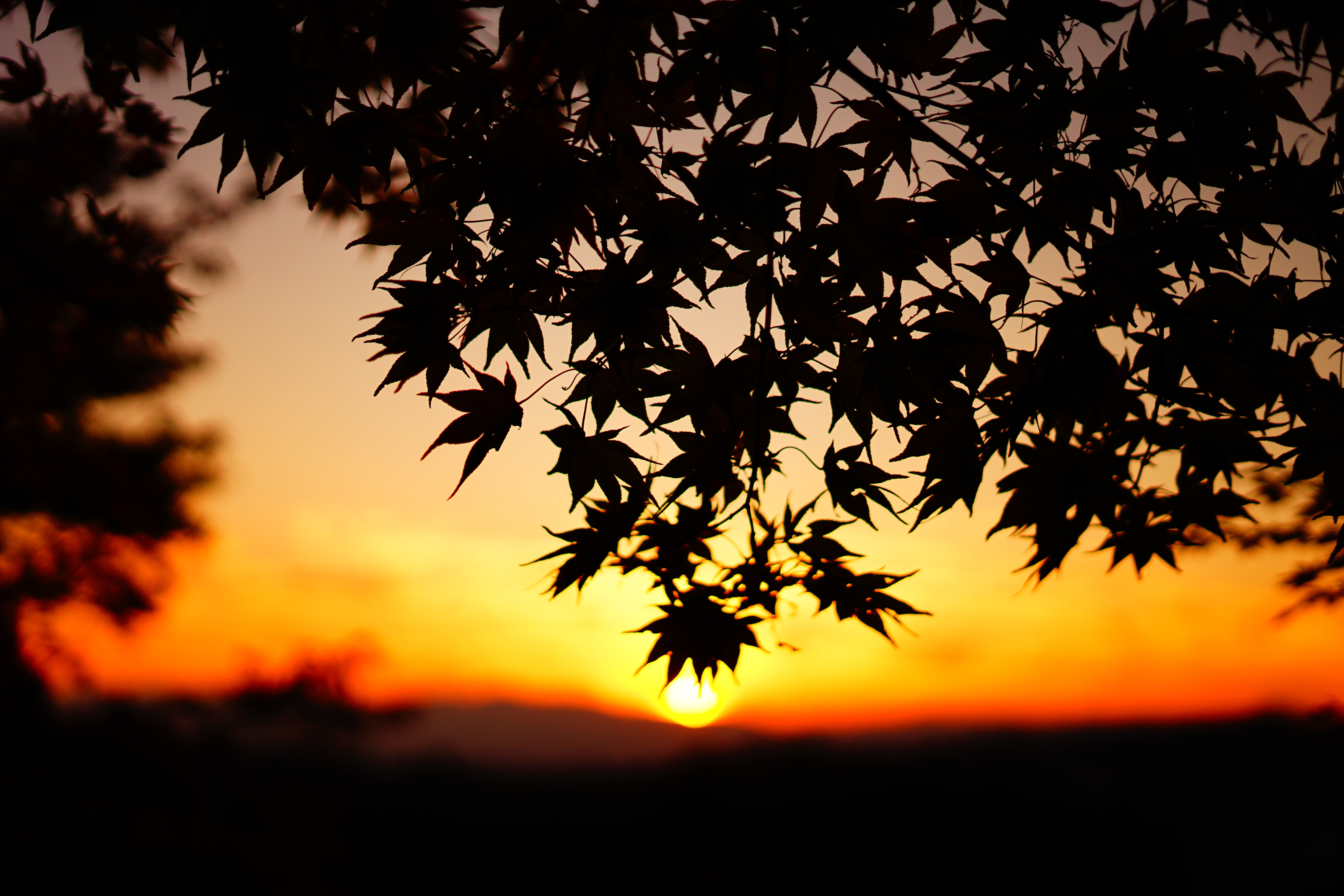 イベント写真03