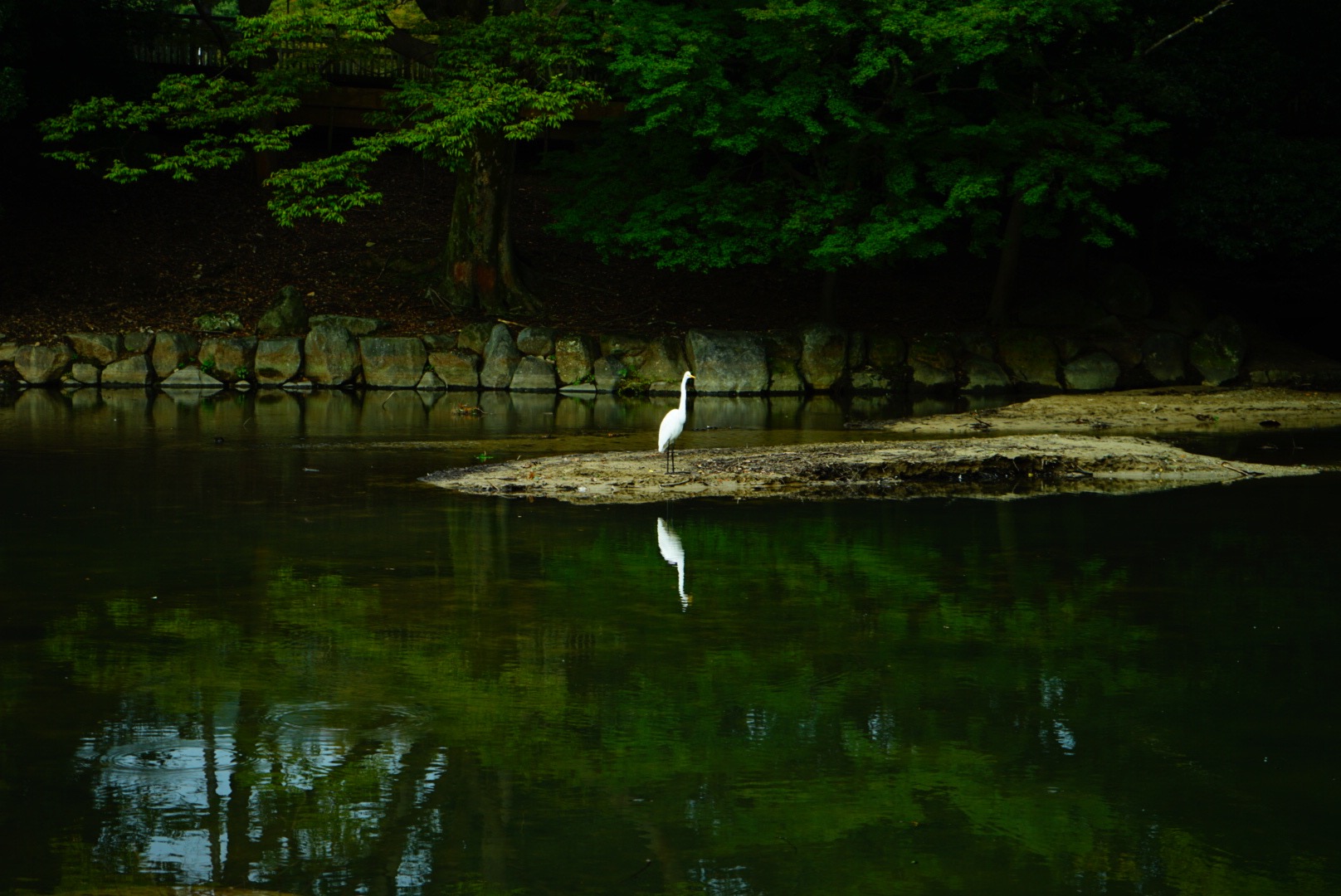 イベント写真08